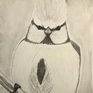 Meet your Posher, Frida